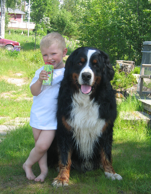 Hampus